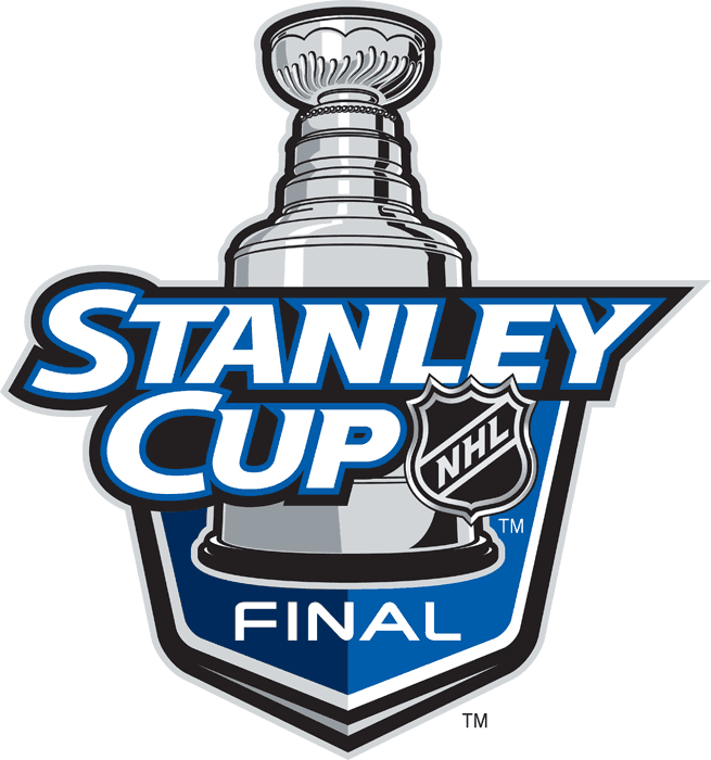 Stanley Cup Playoffs 2008 Finals Logo DIY iron on transfer (heat transfer)